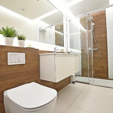 Dworska Apartment *